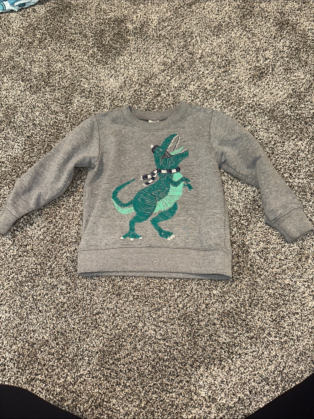 Carter's Gray Sweatshirt with Green Dinosaur Graphic